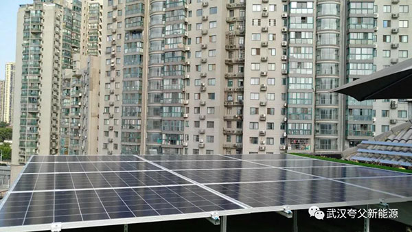 1639622895521562.jpg 3.jpg